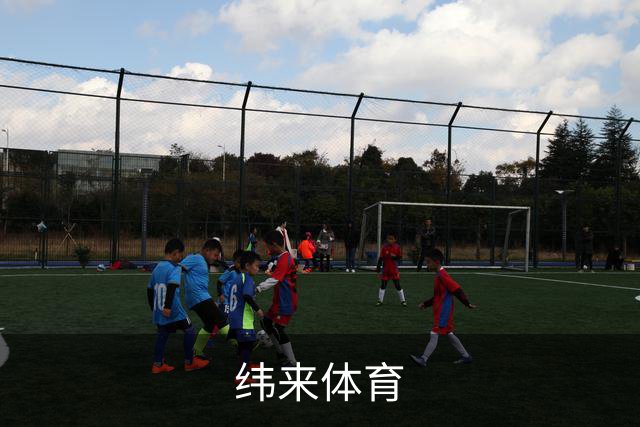纬来体育公司简介